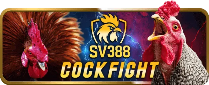 Ưu đãi hấp dẫn ok83865
